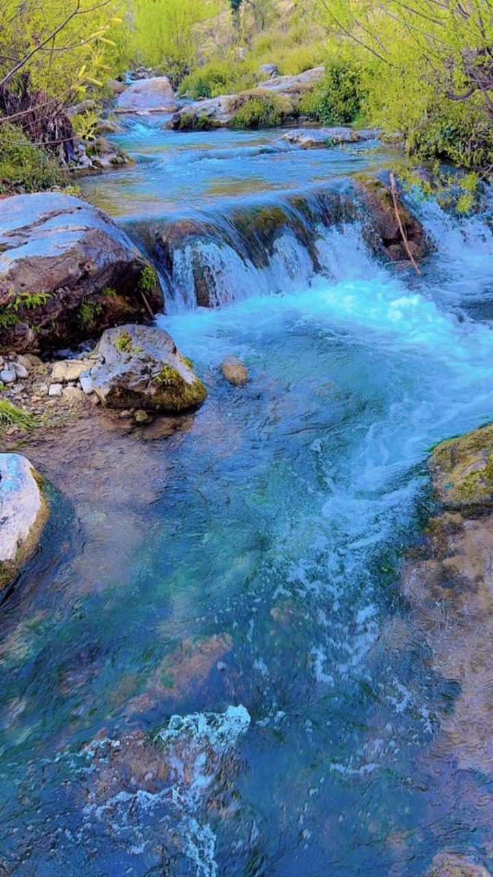 Rivulet Resort & Camping Mussoorie Dış mekan fotoğraf