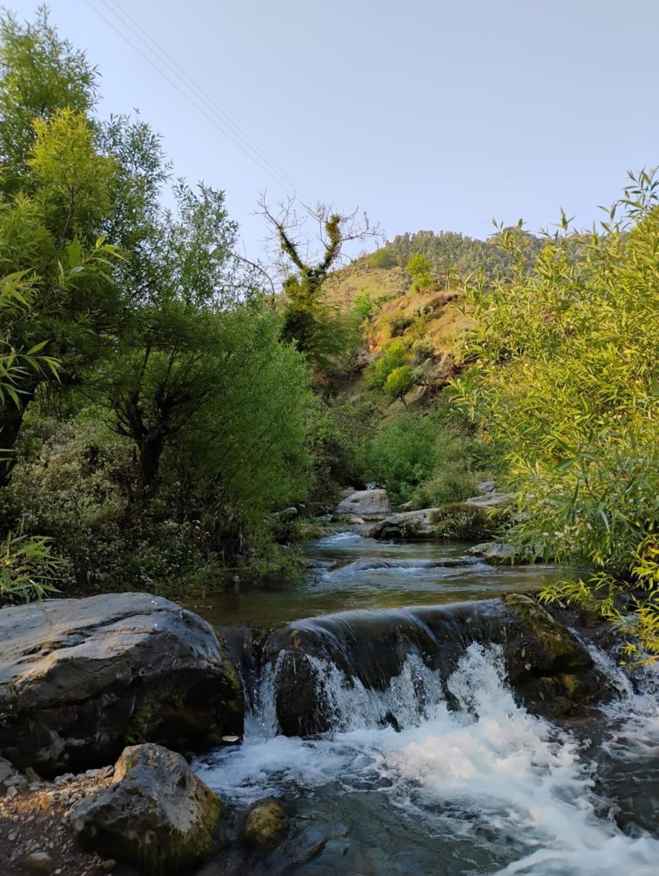 Rivulet Resort & Camping Mussoorie Dış mekan fotoğraf
