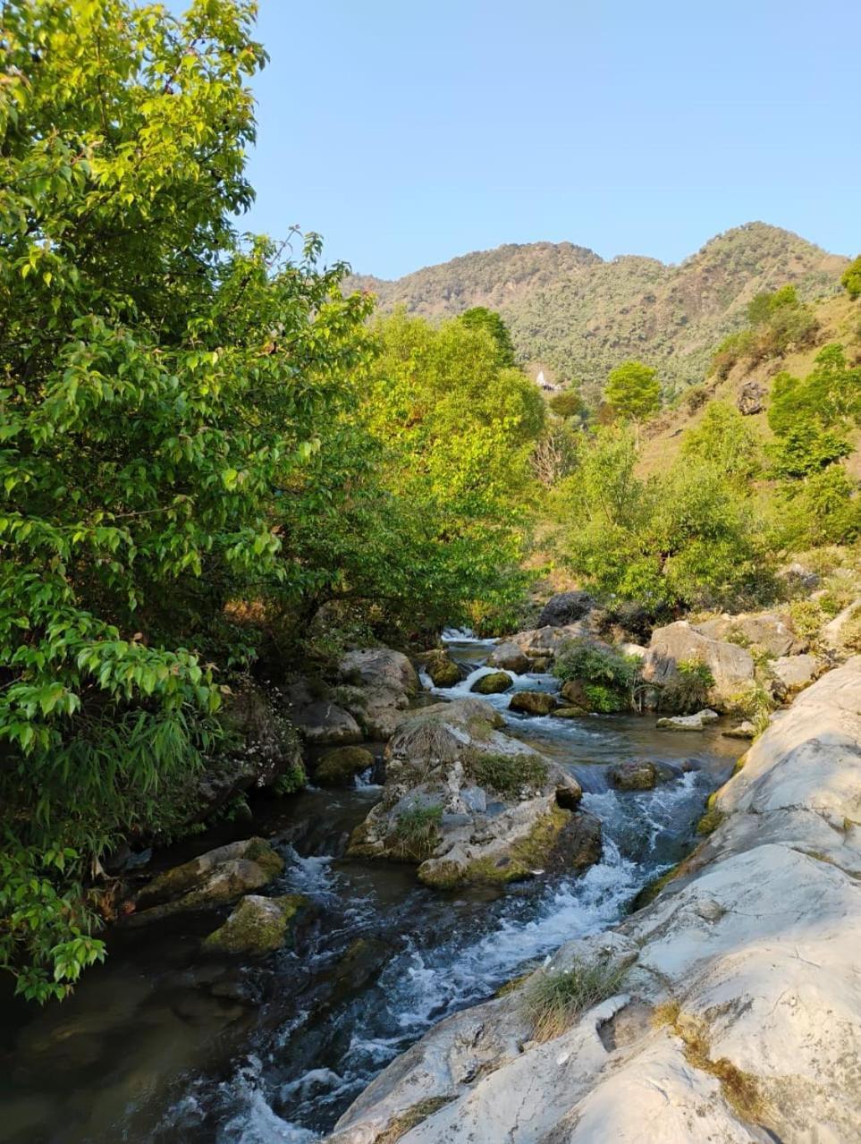 Rivulet Resort & Camping Mussoorie Dış mekan fotoğraf