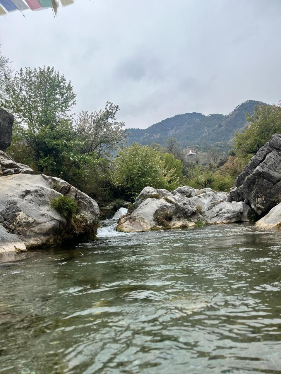 Rivulet Resort & Camping Mussoorie Dış mekan fotoğraf